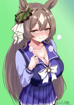 1girl absurdres animal_ears blush bow bowtie breasts brown_eyes brown_hair cleavage closed_mouth collarbone commentary_request diamond_(shape) ear_ornament green_background hair_between_eyes hair_intakes highres horse_ears horse_girl horseshoe_ornament large_breasts long_hair long_sleeves looking_at_viewer multicolored_hair nose_blush pleated_skirt pocotas purple_bow purple_bowtie purple_shirt purple_skirt sailor_collar sailor_shirt satono_diamond_(umamusume) school_uniform shirt simple_background skirt smile solo streaked_hair sweat tracen_school_uniform umamusume white_hair white_streaks