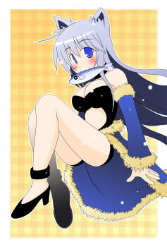 1girl :3 animal_ears black_shoes black_shorts black_tank_top blue_cape blue_eyes blue_sleeves blush breasts cape cat_ears cat_girl cleavage closed_mouth clothing_cutout detached_sleeves fish_in_mouth full_body fur-trimmed_cape fur-trimmed_sleeves fur_trim gingham_background grey_hair hazama_shin high_heels highres invisible_chair large_breasts long_hair looking_at_viewer ragnarok_online shoes short_shorts shorts sitting smile solo stalker_(ragnarok_online) stomach_cutout tank_top very_long_hair waist_cape white_background yellow_background
