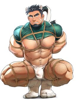 abs absurdres animal_ears arms_behind_back bara black_hair chest_hair clenched_teeth clothes_lift facial_hair facial_scar goatee green_eyes green_shirt highres large_pectorals male_underwear muscular muscular_male nipples o2h_(oblivionh) original pectorals scar scar_on_cheek scar_on_face scar_on_nose shibari shirt shirt_lift short_hair socks squatting tabi tail teeth thick_eyebrows thick_thighs thighs tiger_boy tiger_ears tiger_tail tiptoes transparent_background undercut underwear white_male_underwear white_socks yaoi