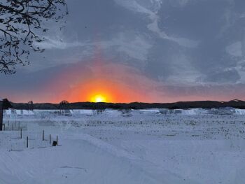 absurdres commentary fence highres landscape mountainous_horizon nature no_humans original outdoors painterly scenery snow sunset symbol-only_commentary tree twulfs