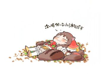 Rule 34 | 1girl, :3, = =, animal ears, bloomers, brown hair, closed eyes, commentary request, deformed, full body, grey bloomers, ito ryo, lazy, long hair, lying, midriff, navel, on back, outstretched arms, princess connect!, red shirt, reiwa, rin (princess connect!), shirt, shoes, simple background, solo, spread arms, squirrel ears, squirrel girl, squirrel tail, tail, translation request, underwear, white background, yellow shoes