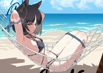 1girl absurdres animal_ears arms_behind_head bdsm bikini black_eyes black_hair blue_archive blue_bikini blue_sky bondage bound bound_knees breasts cat_ears cat_girl cat_tail clenched_teeth commentary_request criss-cross_straps day halo hammock highres kikyou_(blue_archive) kikyou_(swimsuit)_(blue_archive) layered_bikini looking_at_viewer multiple_tails navel ocean official_alternate_costume on_hammock shadow shibari sky solo stomach sweatdrop swimsuit tail teeth tsuruga two_tails