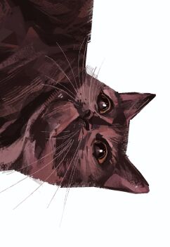 animal_focus brown_cat brown_eyes cat close-up highres junbuug korat looking_at_viewer no_humans original painterly sideways simple_background white_background