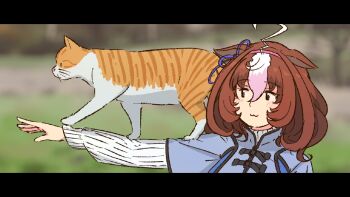 1girl :3 ahoge animal_ears animal_on_arm blurry blurry_background bow brown_hair cat ear_ribbon hairband highres horse_ears horse_girl kashinoki_(koaaski) layered_sleeves letterboxed long_sleeves looking_to_the_side mandarin_collar medium_hair meisho_doto_(umamusume) meto_(cat) multicolored_hair outstretched_arm short_over_long_sleeves short_sleeves smile solo umamusume white_hair