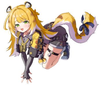 1girl all_fours animal_ear_fluff animal_ears blonde_hair blue_shoes blush bow colored_inner_hair fang fingerless_gloves gloves green_eyes grey_shirt high-waist_shorts highres jacket ju_fufu long_hair looking_at_viewer medallion multicolored_hair open_mouth orange_fur seulraimbbang shirt shoes shorts socks solo striped_fur striped_hair tail tail_bow tail_ornament thigh_strap tiger_ears tiger_girl tiger_stripes tiger_tail white_background white_socks yellow_jacket zenless_zone_zero