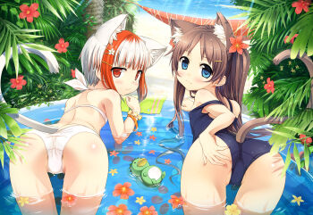2girls 3: :3 absurdres animal_ears ass bare_shoulders beach bent_over bikini blue_eyes blue_one-piece_swimsuit blunt_bangs blush bracelet breasts cat_ears cat_girl cat_tail cura day embarrassed flat_chest flower foliage from_behind hair_flower hair_ornament hairclip hand_on_own_ass highres jewelry kemonomimi_mode leaf leaning_forward loli long_hair looking_at_viewer looking_back monobeno multicolored_hair multiple_girls ocean official_art one-piece_swimsuit outdoors palm_tree partially_submerged partially_visible_vulva plant pout presenting red_hair ripples sawai_natsuha school_swimsuit shoulder_blades smile strap_slip streaked_hair sumi_(monobeno) swimsuit tail thigh_gap towel tree twintails two-tone_hair wading wading_pool water water_drop white_bikini white_hair