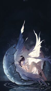 1girl barefoot columbina_(genshin_impact) feathered_wings genshin_impact night nude reflection ryrmcher solo wings