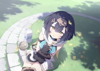 1girl amber_(stella_sora) animal animal_hug bare_shoulders black_cat black_gloves black_hair black_thighhighs blue_dress bowl breasts cat day double-parted_bangs dress elbow_gloves fingerless_gloves fish_skeleton game_cg gloves grass hair_intakes highres large_breasts leaf leaf_on_head looking_at_viewer milk_carton non-web_source official_art on_ground outdoors pet_bowl shadow short_dress sitting sleeveless sleeveless_dress solo stella_sora thighhighs yellow_eyes