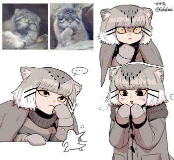 ... 1girl :&lt; :d anger_vein animal_ear_fluff animal_ears artist_name artist_self-insert bob_cut bored breath brown_cape brown_coat brown_mittens brown_scarf brown_sweater cape cat_ears cat_girl closed_mouth coat constricted_pupils creature_and_personification duffel_coat elbow_rest gegegekman gradient_hair grey_hair hair_ornament hairclip hand_on_table head_rest highres korean_text looking_afar looking_at_self mittens motion_lines multicolored_hair multiple_views open_mouth original pallas&#039;s_cat pallas&#039;s_cat_(gegegekman) parallel_hairclips personification photo-referenced photo_inset puff_of_air reference_inset scarf shaded_face short_hair signature simple_background smile solo_focus speech_bubble spoken_ellipsis striped_clothes striped_sweater surprised sweater toggles twitter_username upturned_eyes warming_hands white_background white_hair yellow_eyes