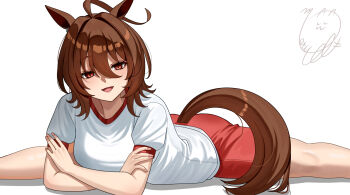 1girl agnes_tachyon_(umamusume) ahoge animal_ears blush brown_hair crossed_arms highres horse_ears horse_girl horse_tail motusii open_mouth red_eyes red_shorts shirt short_hair short_sleeves shorts solo split t-shirt tail umamusume white_shirt wolf_cut