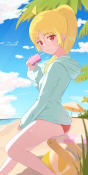 1girl 98raki ahoge alternate_costume alternate_hairstyle ass ball beach beachball bikini bikini_bottom_only blonde_hair blue_sky bocchi_the_rock! cloud drinking from_behind from_side highres hood hood_down hoodie ijichi_seika long_hair long_sleeves looking_at_viewer ponytail red_bikini red_eyes sitting sky solo sweatdrop swimsuit tree