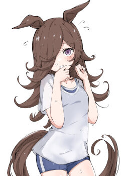 1girl absurdres animal_ears blue_one-piece_swimsuit blush brown_hair commentary_request competition_school_swimsuit cowboy_shot ears_down flipped_hair hair_over_one_eye hands_up highres horse_ears horse_girl horse_tail long_hair looking_at_viewer one-piece_swimsuit one_eye_covered parted_lips purple_eyes rice_shower_(umamusume) school_swimsuit see-through_clothes see-through_shirt shijimi_(sijimi1917) shirt short_sleeves simple_background single_vertical_stripe smile solo standing swimsuit t-shirt tail tracen_swimsuit umamusume wet wet_clothes wet_shirt white_shirt