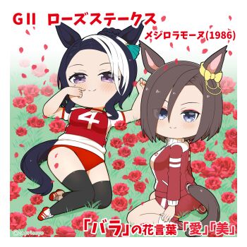 Rule 34 | 2girls, air groove (umamusume), animal ears, ass, black hair, blue eyes, blush, bow, braid, breasts, buruma, capriccyo, chibi, closed mouth, commentary request, ear bow, eyes visible through hair, flower, forehead, hair between eyes, highres, horse ears, horse girl, horse tail, jacket, lying, medium breasts, mejiro ramonu (umamusume), multicolored hair, multiple girls, on back, on grass, original race uniform (umamusume), petals, puffy short sleeves, puffy sleeves, purple eyes, race bib, red buruma, red flower, red jacket, red rose, rose, rose petals, shirt, short sleeves, sitting, smile, tail, track jacket, translation request, twitter username, two-tone hair, umamusume, wariza, white hair, white shirt, yellow bow