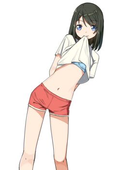 1girl absurdres arms_behind_back blue_bra blue_eyes blush bra brown_hair clothes_lift commentary_request cowboy_shot dot_nose gym_shorts highres leaning_forward lifting_own_clothes looking_at_viewer mouth_hold navel negimiso1989 original parted_bangs red_shorts shirt shirt_lift short_hair shorts simple_background solo thighs underwear white_background white_shirt