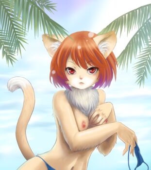 Rule 34 | animal ears, beach, bikini, breasts, cat ears, cat tail, furry, nipples, red eyes, red hair, short hair, swimsuit, tail, tetsuko (jukai), topfreedom, topless female