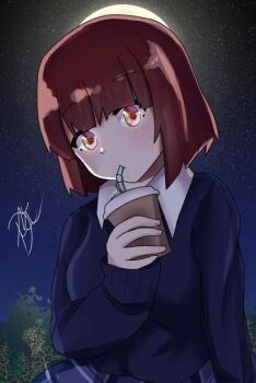 1girl artist_request brown_eyes brown_hair female_focus looking_down medium_hair night sky source_request star_(indie_virtual_youtuber) upper_body