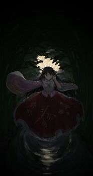 Rule 34 | 1girl, absurdres, bamboo print, black eyes, black hair, closed mouth, collared shirt, commentary, elvencliff, highres, houraisan kaguya, long hair, long skirt, long sleeves, looking at viewer, pink shirt, red skirt, shirt, skirt, sleeves past fingers, sleeves past wrists, solo, touhou, very long hair, wide sleeves