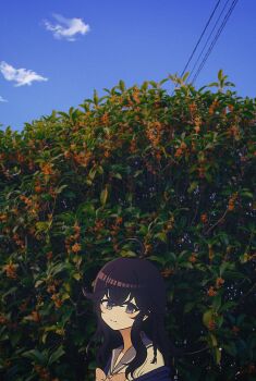 Rule 34 | 1girl, ahoge, black hair, blue eyes, blue jacket, blue sky, bow, bowtie, closed mouth, cloud, crossed bangs, from side, gold osmanthus, grey sailor collar, highres, izumo kasumi (nijisanji), jacket, light blush, long hair, looking at viewer, nijisanji, nkymyura, osmanthus (song), outdoors, photo background, power lines, sailor collar, school uniform, serafuku, sky, smile, solo, upper body, virtual youtuber, white serafuku, yellow bow, yellow bowtie