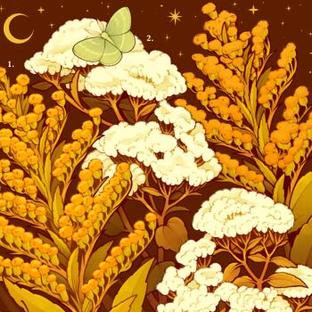 Rule 34 | animal, boneset, bug, commentary, crescent moon, english commentary, flower, flower focus, goldenrod, highres, insect, lianne pflug, luna moth, moon, moth, nature, no humans, orange theme, original, outdoors, plant, plant focus, warm colored, white flower, yellow flower