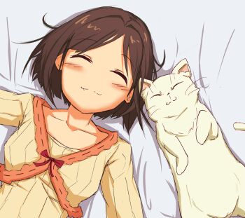 1girl :3 bed_sheet breasts brown_hair cat closed_eyes closed_mouth collarbone curtained_hair fang forehead idolmaster idolmaster_cinderella_girls ito_(itokayu) long_sleeves lying maekawa_miku no_nose on_back relaxing shadow short_hair small_breasts split_mouth upper_body whiskers white_cat