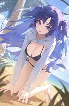 1girl all_fours beach bikini black_bikini blue_archive blue_eyes breasts cleavage cloud hair_between_eyes halo highres large_breasts leaf long_hair long_sleeves looking_at_viewer mechanical_halo navel ocean open_mouth palm_tree purple_hair shrug_(clothing) smile solo suumon swimsuit tree twintails two_side_up white_shrug yuuka_(blue_archive)
