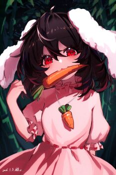 1girl absurdres animal_ears blush brown_hair carrot carrot_necklace dated dress floppy_ears food_in_mouth heng_(heng798616) highres inaba_tewi jewelry looking_at_viewer necklace pendant pink_dress puffy_short_sleeves puffy_sleeves rabbit_ears rabbit_girl red_eyes short_sleeves solo touhou