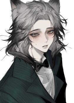 1boy absurdres animal_ear_fluff animal_ears banzhi_xiao_mi black_bow black_bowtie black_hair blush bow bowtie cat_boy cat_ears chinese_commentary colored_tips commentary_request curtained_hair fang formal_clothes green_vest grey_hair highres humanization lapels lips male_focus medium_hair multicolored_hair notched_lapels pawbert_lynxley shirt solo sweatdrop upper_body variant_set vest white_background white_shirt yellow_eyes zootopia