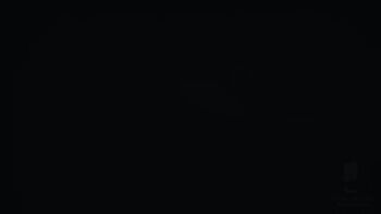 Rule 34 | anal, animated, bakusatsuho, double penetration, ellen joe, fellatio, group sex, kiss, leogreystoneva, mmf threesome, nekololisama, nipples, oral, prostitution, sex, tagme, threesome, vaginal, video, zenless zone zero