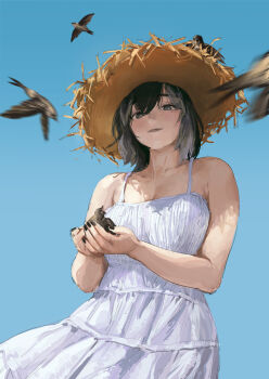1girl animal bird black_eyes black_hair breasts cleavage cowboy_shot day dress from_below hat highres holding holding_animal holding_bird looking_at_viewer medium_hair nashidrop original outdoors sky solo straw_hat sun_hat sundress white_dress