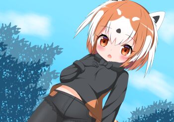 1girl black_bow black_bowtie black_gloves black_hair black_pantyhose black_shirt black_shorts blue_sky blush bow bowtie breasts brown_eyes brown_hair chestnut_mouth cloud commentary_request day dutch_angle fur_collar gloves hair_between_eyes hand_up highres kemono_friends looking_at_viewer multicolored_hair open_mouth outdoors pantyhose pantyhose_under_shorts red_panda_(kemono_friends) red_panda_ears red_panda_girl red_panda_tail shin01571 shirt short_shorts shorts sky small_breasts solo two-tone_hair white_hair