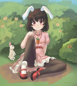 1girl absurdres andylove886 animal_ears blush breasts brown_pantyhose bush carrot_necklace closed_mouth commentary dress flower highres inaba_tewi jewelry looking_at_viewer mary_janes necklace outdoors pantyhose pendant pink_dress puffy_short_sleeves puffy_sleeves rabbit rabbit_ears rabbit_girl red_shoes revision ribbon-trimmed_sleeves ribbon_trim shoes short_sleeves sitting small_breasts smile solo touhou