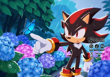 1boy black_fur blue_flower brick_floor bug butterfly butterfly_on_hand flower furry furry_male gloves hedgehog_boy highres insect instagram_logo instagram_username pink_flower purple_flower rain red_eyes shadow_the_hedgehog shiiyou shoes sonic_(series) tree twitter_username twitter_x_logo white_gloves