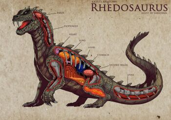 anatomy biology bone brain chart claws cross-section diagram dinosaur extra_brains fangs garayann giant giant_monster heart liver looking_at_viewer lungs monster muscular no_humans organs rhedosaurus science science_fiction skeleton stomach tail teeth the_beast_from_20,000_fathoms warner_bros. x-ray