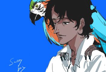 Rule 34 | 1boy, animal, animal on shoulder, aquiline nose, bird, bird on shoulder, black eyes, black hair, blue background, closed mouth, collared shirt, copyright name, dark-skinned male, dark skin, half-closed eyes, light smile, looking down, male focus, nose, osakana (denpa yun'yun), parrot, popped collar, portrait, rajdhani (sonny boy), shirt, short hair, simple background, solo, sonny boy, white shirt