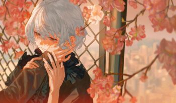 1girl 1other absurdres blurry blurry_background chain-link_fence cherry_blossoms cityscape collar depth_of_field fence frilled_collar frills hand_on_another&#039;s_cheek hand_on_another&#039;s_face highres kudou_chitose light_smile long_sleeves nijisanji nishinodashi short_hair solo_focus upper_body virtual_youtuber white_hair