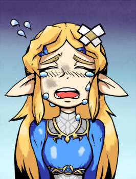 Rule 34 | blonde hair, crying, dirty, dirty face, dress, closed eyes, long hair, nintendo, open mouth, princess zelda, setz, sidelocks, tears, the legend of zelda, the legend of zelda: breath of the wild