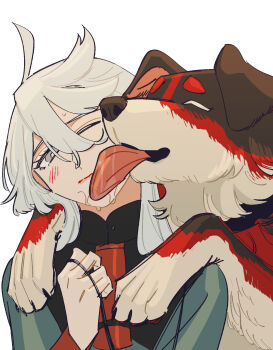 1girl ahoge animalization asticassia_school_uniform blush closed_mouth commentary_request dog green_jacket grey_eyes gundam gundam_suisei_no_majo highres holding holding_leash jacket korean_commentary leash licking licking_another&#039;s_face long_hair miorine_rembran one_eye_closed saliva school_uniform simple_background snapagi solo suletta_mercury sweat upper_body white_background white_hair
