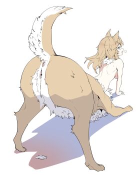 Rule 34 | 1girl, absurdres, aftersex, animal ears, anus, ass, backboob, blue eyes, body fur, breasts, brown fur, brown hair, centauroid, cum, cum in pussy, cumdrip, dog ears, dog girl, dog tail, drooling, female focus, from behind, highres, monster girl, multicolored fur, original, pussy, shadow, simple background, solo, tail, tail raised, taur, top-down bottom-up, white background, white fur, zhu fun