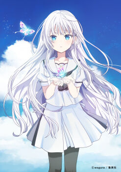 1girl artist_name ascot black_ascot black_pantyhose blue_butterfly blue_eyes blue_sky bug butterfly commentary_request cowboy_shot day eyelashes floating_hair glowing_butterfly hair_between_eyes hair_ornament hairclip hands_up highres insect long_hair looking_at_viewer miniskirt naruse_shiroha official_art open_hands outdoors pantyhose parallel_hairclips parted_lips puffy_short_sleeves puffy_sleeves sailor_collar school_uniform serafuku shirt short_sleeves sidelocks skirt sky solo straight-on summer_pockets summer_pockets_school_uniform textless_version very_long_hair white_hair white_sailor_collar white_serafuku white_shirt white_skirt wind wogura