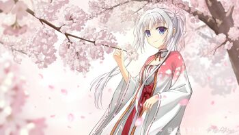 Rule 34 | 1girl, blue eyes, blurry, blush, branch, cherry blossoms, closed mouth, commentary request, cowboy shot, day, depth of field, detached collar, eyes visible through hair, falling petals, floating hair, flower, hair between eyes, hair flower, hair ornament, hand up, highres, japanese clothes, kaze akira, kimono, long hair, long sleeves, looking at viewer, nontraditional miko, outdoors, petals, pink kimono, ribbon-trimmed sleeves, ribbon trim, sample watermark, senren banka, sidelocks, signature, smile, solo, tomotake yoshino, tree, twintails, two-tone kimono, very long hair, watermark, white hair, white kimono, wide sleeves, wind