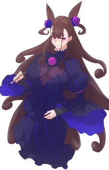 1girl black_dress breasts brown_hair cone_hair_bun dress fate/grand_order fate_(series) gem hair_bun hair_ornament highres juliet_sleeves large_breasts long_hair long_sleeves looking_at_viewer murasaki_shikibu_(fate) murasaki_shikibu_(first_ascension)_(fate) niwaikanai puff_and_slash_sleeves puffy_sleeves purple_eyes smile solo two_side_up very_long_hair wide_sleeves