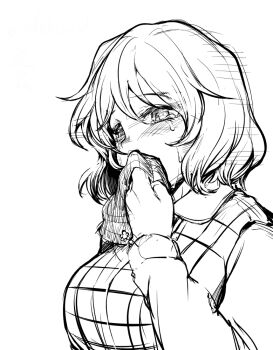 Rule 34 | 1girl, blush, breasts, collared shirt, commentary request, crying, crying with eyes open, gingham vest (clothing), handkerchief, holding, holding handkerchief, kazami yuuka, large breasts, long sleeves, sadahiro (chicken nugget gyuuniku aji), shirt, short hair, simple background, solo, tears, touhou, upper body