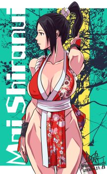 Rule 34 | 1girl, black hair, breasts, cleavage, collarbone, fatal fury, high ponytail, highres, large breasts, mimiyama kiichi, ninja, ponytail, shiranui mai, smile, solo, the king of fighters