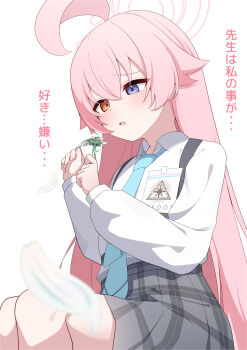 1girl :o absurdres ahoge aqua_necktie blue_archive blush chest_harness commentary_request daisy_(flower) fang feet_out_of_frame flower grey_skirt hair_flaps halo harness heterochromia highres holding holding_flower hoshino_(blue_archive) id_card long_hair long_sleeves natukuzira necktie pink_hair plaid_clothes plaid_skirt plucking_petals school_uniform shirt shirt_tucked_in simple_background sitting skin_fang skirt solo straight_hair translation_request very_long_hair white_background white_shirt