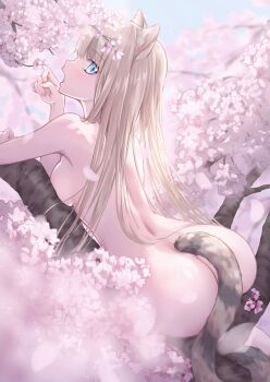 1girl animal_ears ass back blonde_hair blue_eyes breasts butt_crack cat_ears cat_girl cat_tail cherry_blossoms completely_nude highres long_hair looking_at_viewer medium_breasts nude on_tree open_mouth original outdoors profile regimiruku solo tail tree