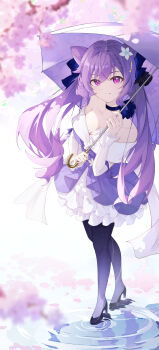 Rule 34 | 1girl, absurdres, black pantyhose, black shoes, blue bow, blue choker, bow, braid, cherry blossoms, choker, closed mouth, collarbone, commentary request, cone hair bun, diamond-shaped pupils, diamond (shape), double bun, dress, flower, frilled dress, frills, full body, genshin impact, hair bow, hair bun, hair flower, hair ornament, high heels, highres, holding, holding umbrella, keqing (genshin impact), keqing (resplendent feast) (genshin impact), looking at viewer, off-shoulder dress, off shoulder, official alternate costume, pantyhose, purple eyes, purple hair, qi di xiong, ripples, shoes, smile, solo, standing, symbol-shaped pupils, umbrella, white dress, white flower