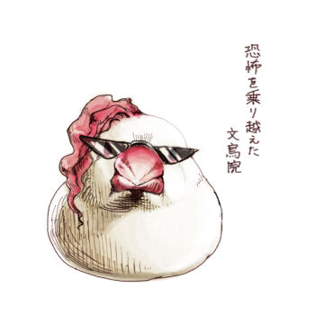 animal_focus animalization bad_id bad_pixiv_id bird finch hscatter java_sparrow jojo_no_kimyou_na_bouken kakyoin_noriaki no_humans simple_background solo sunglasses translation_request triangular_eyewear white_background white_java_sparrow