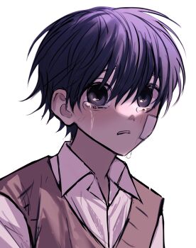 1boy bandaid bandaid_on_face black_eyes black_hair collared_shirt crying crying_with_eyes_open d: hashtag-only_commentary highres kim_dokja len_i00 looking_at_viewer male_focus oldest_dream omniscient_reader&#039;s_viewpoint open_mouth shirt short_hair solo straight-on tears upper_body vest white_shirt yellow_vest