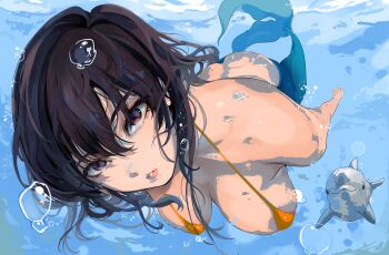 1girl absurdres air_bubble ass bikini bikini_top_only black_eyes black_hair breasts bubble dolphin expressionless highres komi-san_wa_komyushou_desu komi_shouko large_breasts long_hair looking_at_viewer mamimi_(mamamimi) mermaid monster_girl orange_bikini solo forked_tail swimming swimsuit underwater