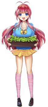 Rule 34 | 1girl, antenna hair, black shoes, blue cardigan, blue eyes, blush, bow, breasts, bright pupils, cardigan, cleavage, collarbone, collared shirt, commentary request, full body, hairband, highres, holding, large breasts, loafers, long hair, looking at viewer, open mouth, pink socks, plant, pleated skirt, red hair, school uniform, shirt, shoes, simple background, skirt, smile, socks, solo, standing, straight-on, striped clothes, striped socks, tachi-e, vegetable garden of twins, white background, white pupils, white shirt, yellow bow, yellow hairband, yellow skirt, yumeno tanuki